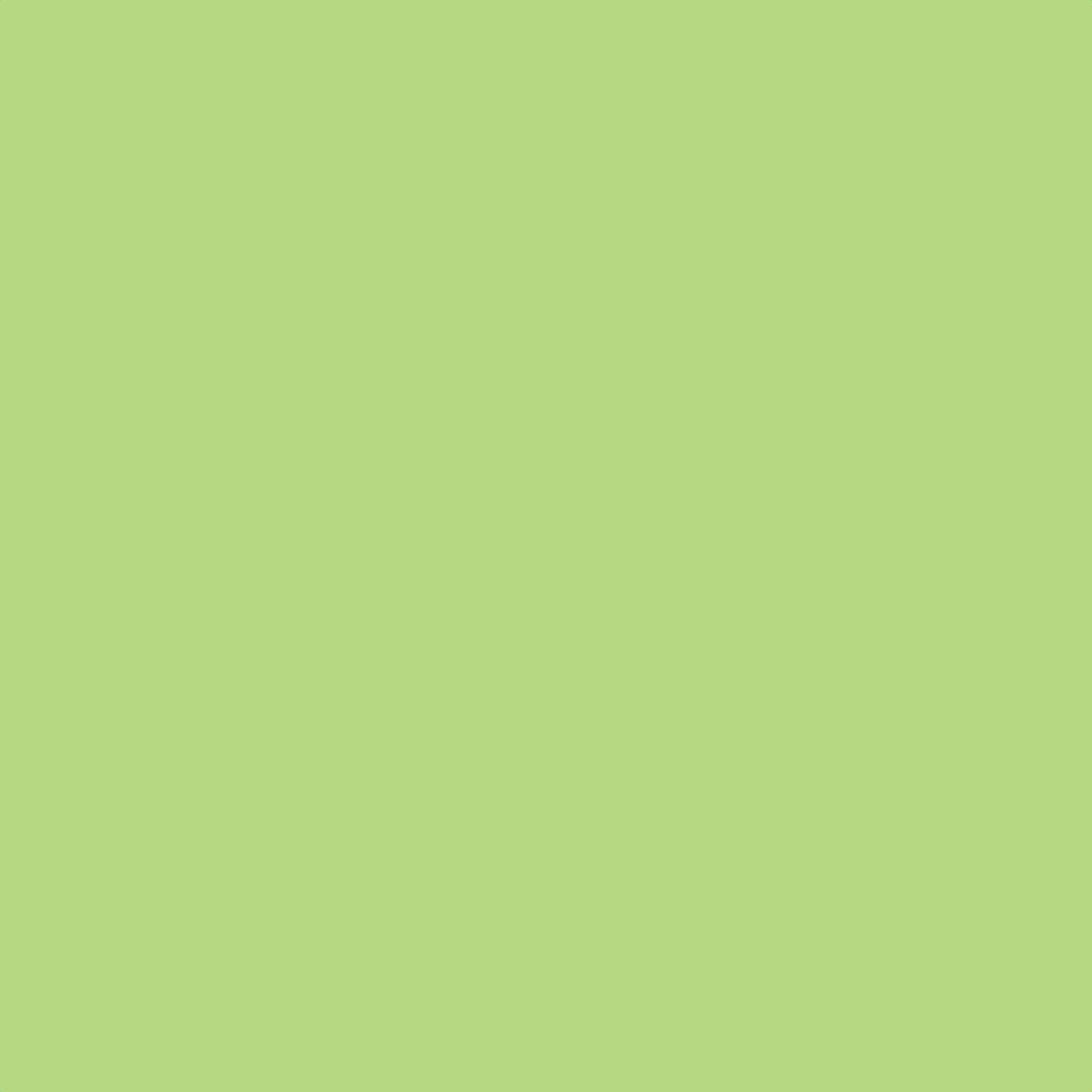 NB-LightGreen-BG.jpg