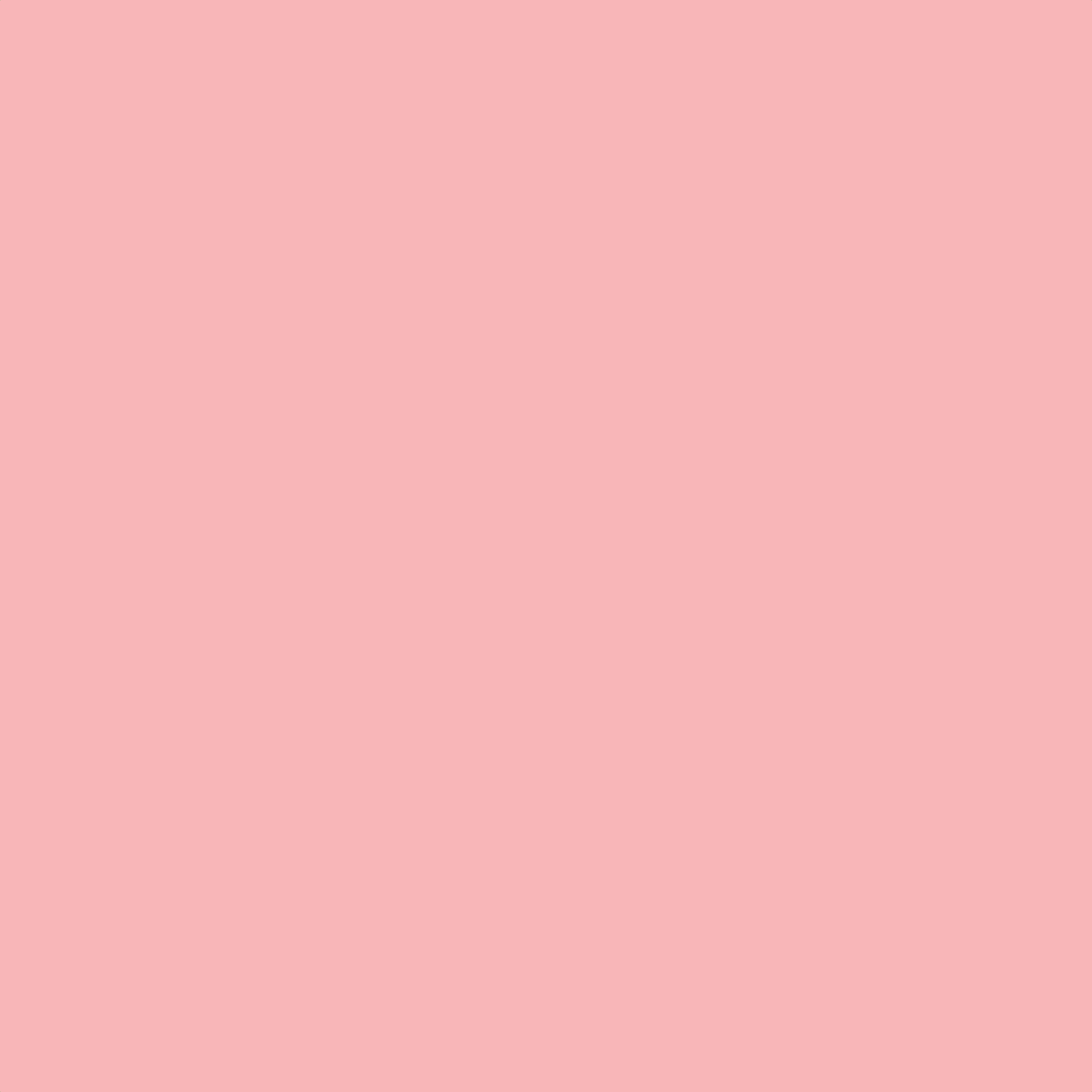 NB-Pink-BG.jpg