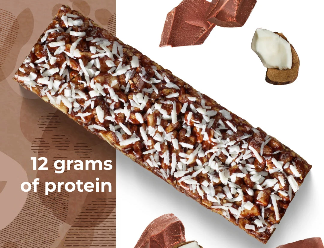 chocolate coconut crispy protein bar 🌱